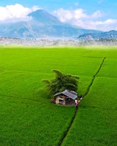 Tahimik na Kapaligiran Kay Sarap Magkantutan sa Bakuran.